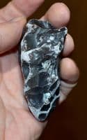 A scarce and early Lower Paleolithic 