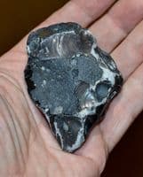 A scarce and early Lower Paleolithic 