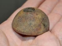 A scarce and excellent, Anglo Saxon carved and polished Bone Spindle Whorl,Thetford, Norfolk. SOLD