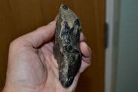 A scarce and excellent Lower Paleolithic pointed unifacial flint hand axe, Hoxne, Suffolk. SOLD