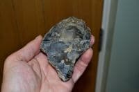 A scarce and excellent Lower Paleolithic pointed unifacial flint hand axe, Hoxne, Suffolk. SOLD