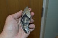 A scarce and excellent Lower Paleolithic pointed unifacial flint hand axe, Hoxne, Suffolk. SOLD