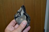 A scarce and excellent Lower Paleolithic pointed unifacial flint hand axe, Hoxne, Suffolk. SOLD