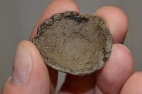 A scarce and unusual Medieval miniature lead bowl found in Nottinghamshire. SOLD