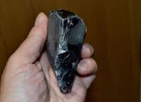 A scarce, early Lower Paleolithic 