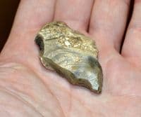 A scarce & excellent Early Paleolithic 