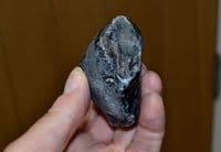 A scarce, extremely early Lower Paleolithic 