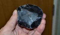A scarce, extremely early Lower Paleolithic 