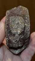 A  scarce Pliosaur neck vertebrae, Jurassic Period, Kimmeridgian, Dorset (N94) SOLD