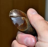 A small but pleasant Lower Palaeolithic 