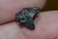 A small but very nicely detailed Roman bronze Lions head mount,  Gloucestershire. SOLD