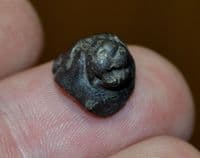 A small but very nicely detailed Roman bronze Lions head mount,  Gloucestershire. SOLD