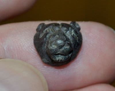 A small but very nicely detailed Roman bronze Lions head mount,  Gloucestershire. SOLD