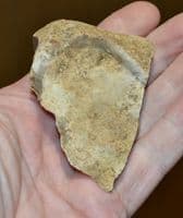 A small Paleolithic Mousterian 