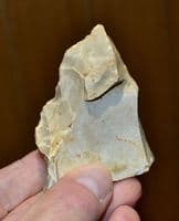 A small Paleolithic Mousterian 