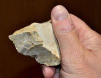 A small Paleolithic Mousterian 