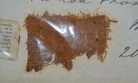 A small segment of linen wrapping from an Ancient Egyptian Mummy, Ex Lord Lindsay Coll., (K14)  SOLD
