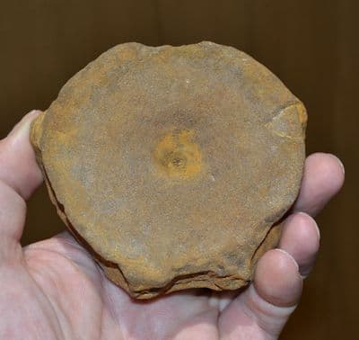 A very large and nice quality Icthyosaur vertebrae, Jurassic Period, Dorset (N92)