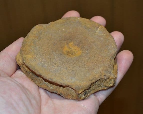 A very large and nice quality Icthyosaur vertebrae, Jurassic Period, Dorset (N92)