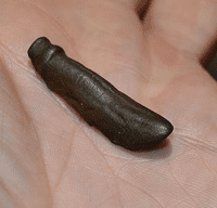 An affordable and pleasant 