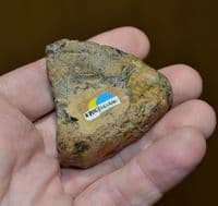 An attractive Lower Palaeolithic  flint scraper, River Stour, Harkstead. SOLD