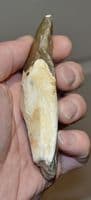 An attractive & well worked Mesolithic flint hand axe, Lymington, Hampshire (N64) SOLD