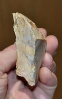 An early Lower Paleolithic flint small hand axe, Warren Hill, Suffolk.