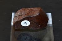 An excellent 40.4g unclassified NWA Chondrite Stony Meteorite, Mali, Ex. Simon Camm Coll. (M4) SOLD