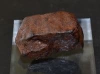 An excellent 40.4g unclassified NWA Chondrite Stony Meteorite, Mali, Ex. Simon Camm Coll. (M4) SOLD