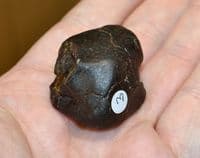 An excellent 57.9g unclassified NWA Chondrite Stony Meteorite, Libya, Ex. Simon Camm Coll. (M3) SOLD