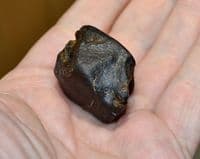 An excellent 57.9g unclassified NWA Chondrite Stony Meteorite, Libya, Ex. Simon Camm Coll. (M3) SOLD
