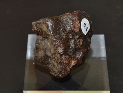 An excellent 59.5g unclassified NWA Chondrite Stony Meteorite, Niger, Ex. Simon Camm Coll. (M5) SOLD