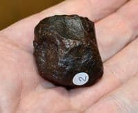 An excellent 61.7g unclassified NWA Chondrite Stony Meteorite, Mali, Ex. Simon Camm Coll. (M2) SOLD