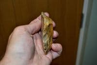 An excellent and attractive Palaeolithic 
