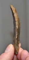 An excellent and scarce Upper Paleolithic Flint / Chert hand sickle, France. SOLD