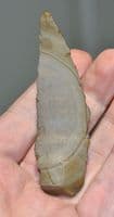 An excellent and scarce Upper Paleolithic Flint / Chert hand sickle, France. SOLD