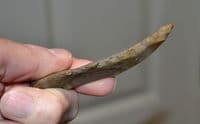 An excellent and scarce Upper Paleolithic Flint / Chert hand sickle, France. SOLD