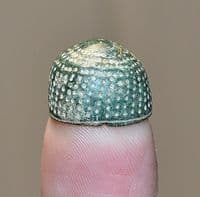 An excellent Early Medieval bronze 
