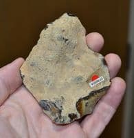 An excellent Early Palaeolithic 