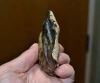 An excellent Early Palaeolithic 