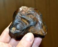 An excellent Early Paleolithic 