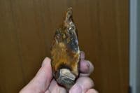 An excellent Lower Palaeolithic 