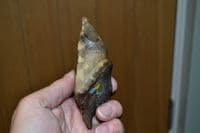 An excellent Lower Palaeolithic 