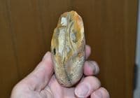 An excellent Lower Palaeolithic 