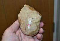 An excellent Lower Palaeolithic 