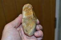 An excellent Lower Palaeolithic 