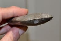 An excellent Neolithic polished stone axe head, North Yorkshire (N74) SOLD