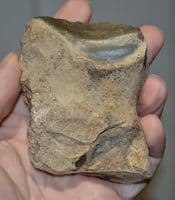 An excellent Paleolithic Mousterian (Neanderthal) flint chopper with fossil sponge , France. SOLD