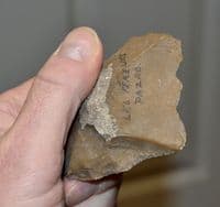 An excellent Paleolithic Mousterian (Neanderthal) 