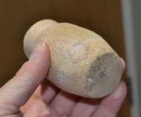 An excellent Roman buff-ware terracotta cosmetic or unguent jar , North Africa. SOLD